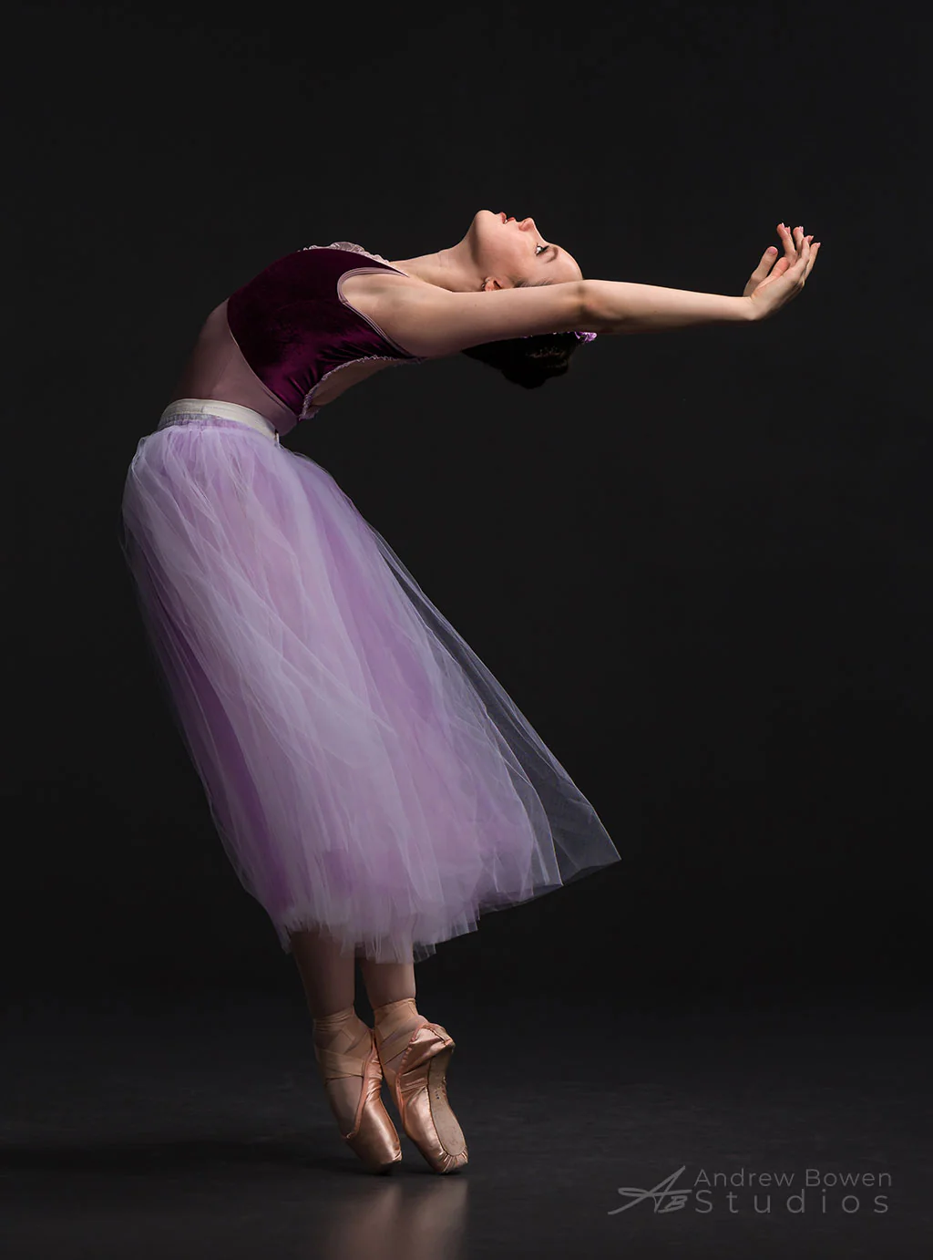 Almost Everything Sale Collection